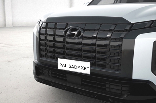 New PALISADE